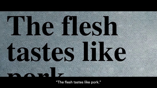 Video Reference: Font, Brand, Signage, Electric blue, Rectangle, Graphics, Photo caption, Logo