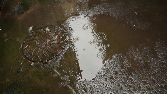 Video Reference: Water, Water resources, Liquid, Body of water, Fluid, Watercourse, Lake, Terrestrial animal, Marine invertebrates, Event