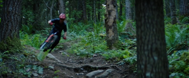 Video Reference: Plant, Tire, Bicycle wheel, Bicycle, Wheel, Bicycle frame, Sports equipment, Helmet, Tree, Vehicle