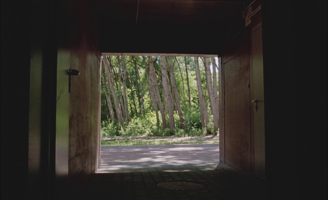 Video Reference: Fixture, Plant, Wood, Shade, Tints and shades, Grass, Composite material, Hardwood, Concrete, Landscape