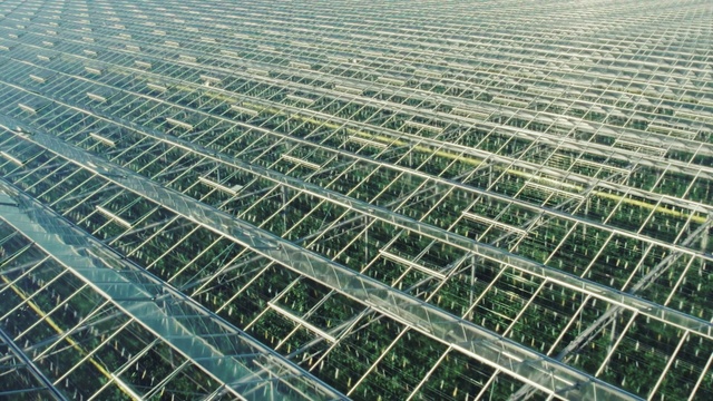 Video Reference: Mesh, Urban design, Agriculture, Slope, Composite material, Roof, Pattern, Grass, Technology, Net