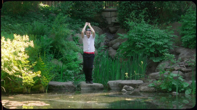 Video Reference: Plant, Green, Nature, People in nature, Leaf, Natural environment, Botany, Natural landscape, Terrestrial plant, Grass