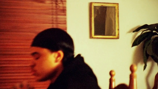 Video Reference: Forehead, Window, Tints and shades, Fun, Houseplant, Happy, Picture frame, Wood, Event, Room