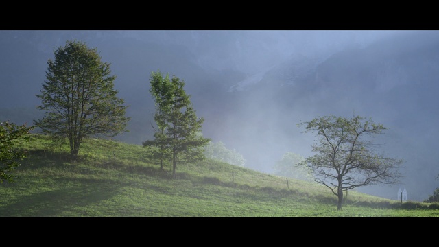 Video Reference: Cloud, Sky, Plant, Atmosphere, Tree, World, Natural landscape, Slope, Grass, Landscape