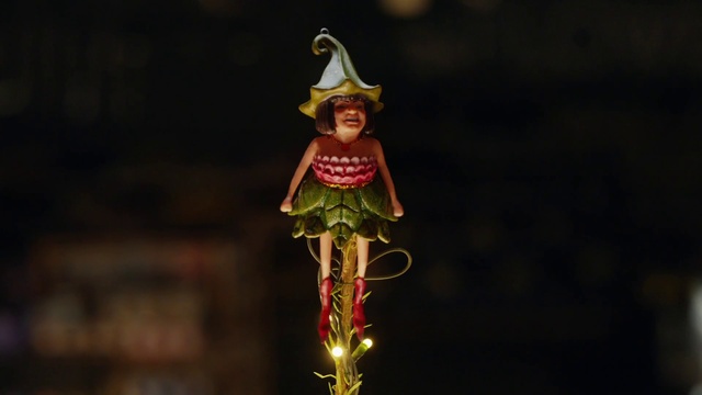 Video Reference: Clothing, Head, Plant, Toy, Human body, Sunglasses, Doll, Headgear, Grass, Hat