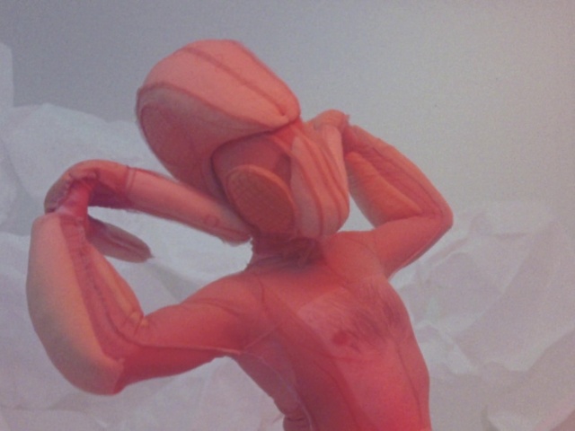 Video Reference: Hand, Arm, Plant, Petal, Human body, Neck, Flower, Balloon, Gesture, Thumb