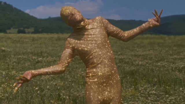 Video Reference: Cloud, Sky, Ecoregion, People in nature, Happy, Plant, Gesture, Grass, Art, Natural landscape