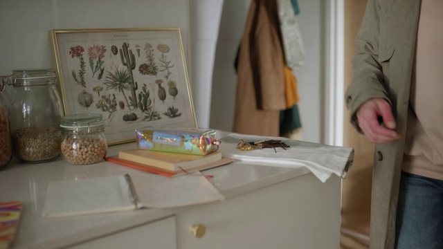 Video Reference: Textile, Interior design, Paint, Serveware, Art, Event, Picture frame, Table, Dishware, Visual arts