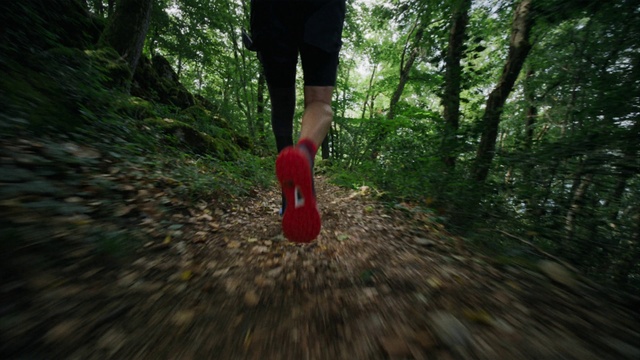 Video Reference: Plant, Leg, Shorts, Tree, People in nature, Wood, Terrestrial plant, Natural landscape, Trunk, Grass