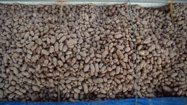 Video Reference: Food, Ingredient, Seed, Plant, Cuisine, Dish, Superfood, Produce, Staple food, Animal feed