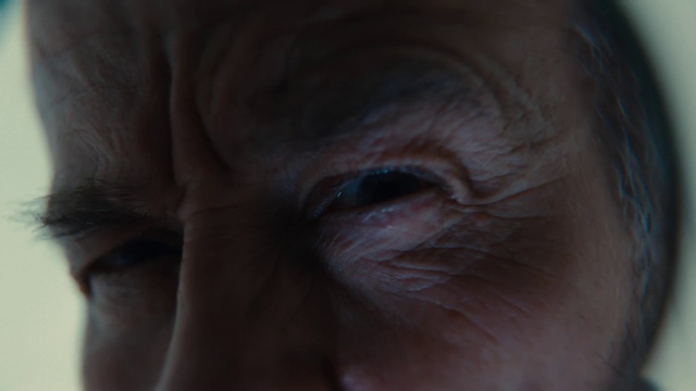 Video Reference: Eyelash, Liver, Wrinkle, Electric blue, Whiskers, Fur, Flesh, Primate, Chest
