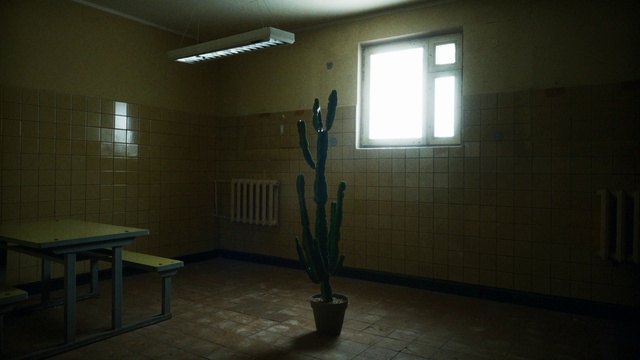 Video Reference: Building, Property, Window, Plant, Flowerpot, Houseplant, Wood, Fixture, House, Interior design