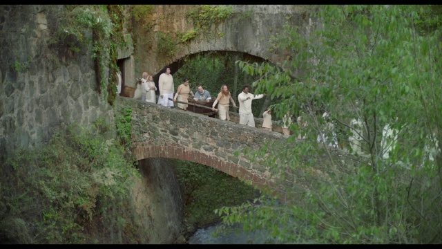 Video Reference: Plant, Natural landscape, Tree, Landscape, Wood, Formation, Grass, Forest, Aqueduct, Arch bridge