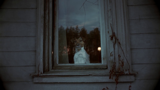 Video Reference: Window, Dress, Wood, Building, House, Tree, Twig, Sky, Tints and shades, Art