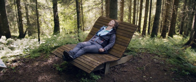 Video Reference: Plant, Comfort, People in nature, Leaf, Natural environment, Wood, Natural landscape, Tree, Trunk, Biome