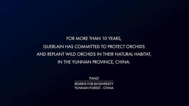 Video Reference: Font, Electric blue, Terrestrial plant, Brand, Graphics, Event, Darkness, Circle, Logo, Science