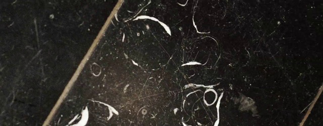 Video Reference: Automotive tire, Terrestrial plant, Font, Grass, Twig, Pattern, Darkness, Astronomical object, Circle, Soil