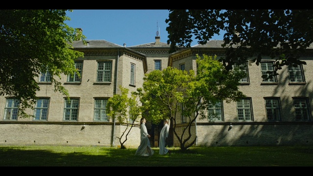 Video Reference: Plant, Sky, Window, Building, Tree, Grass, Land lot, Facade, Tints and shades, Landscape