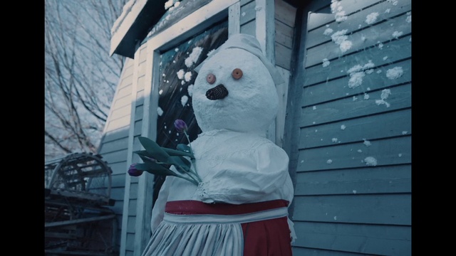 Video Reference: World, Window, Snowman, Building, Art, Facade, Freezing, Winter, Event, Tree