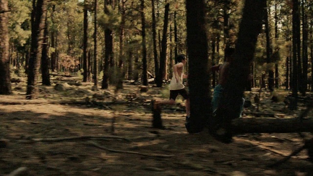 Video Reference: Ecoregion, Natural landscape, Plant, People in nature, Wood, Branch, Tree, Trunk, Deciduous, Grass