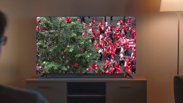 Video Reference: Plant, Tree, Christmas tree, Television, Pink, Television set, Rectangle, Christmas decoration, Christmas ornament, Flat panel display