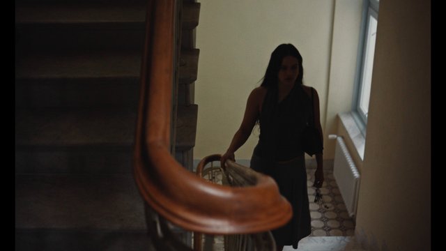 Video Reference: staircase, indoor, person, stairs, window, radiator, shadow, dim light, hallway, interior, standing, handrail