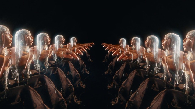 Video Reference: Head, Hand, Vertebrate, Light, Human body, Organism, Mammal, Art, Entertainment, Flash photography