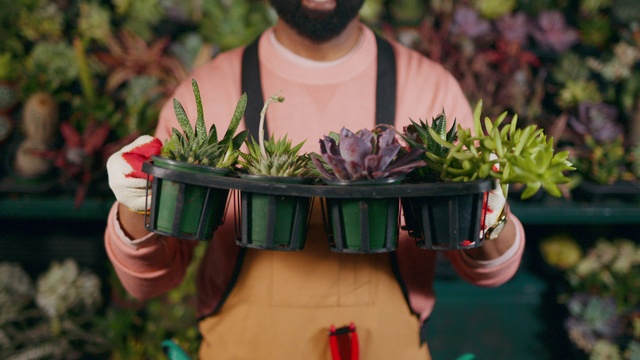 Video Reference: Plant, Botany, Flowerpot, Terrestrial plant, Beard, Flower Arranging, Local food, Landscape, Event, Floristry