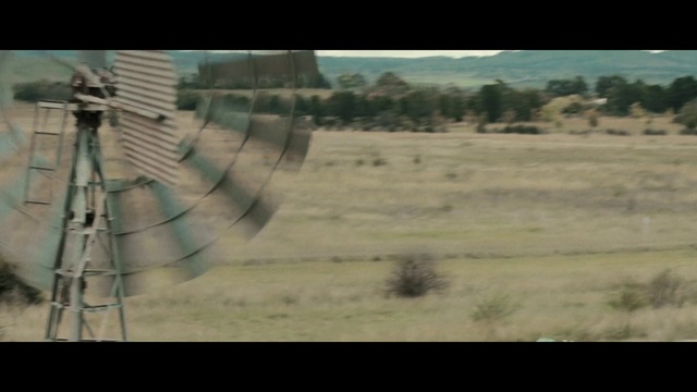 Video Reference: Tree, Grass, Grassland, Plant, Tints and shades, Natural landscape, Landscape, Rectangle, Font, Prairie