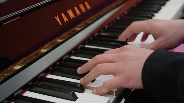 Video Reference: Hand, Musical instrument, Photograph, Piano, Keyboard, Light, Organ, Black, Musician, Musical instrument accessory