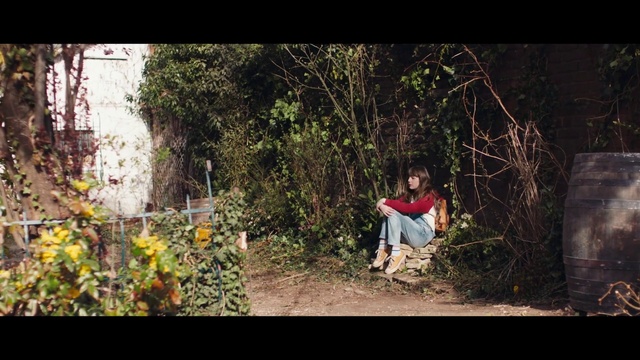 Video Reference: Plant, People in nature, Flash photography, Wood, Grass, Rural area, Forest, Landscape, Tints and shades, Tree