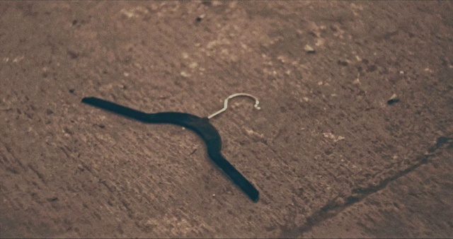 Video Reference: Reptile, Scaled reptile, Snake, Serpent, Terrestrial animal, Soil, Colubridae, Landscape, Shadow, Tail