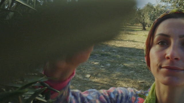 Video Reference: Nose, Lip, Mouth, Plant, Gesture, Sunlight, Grass, Happy, Cool, Black hair