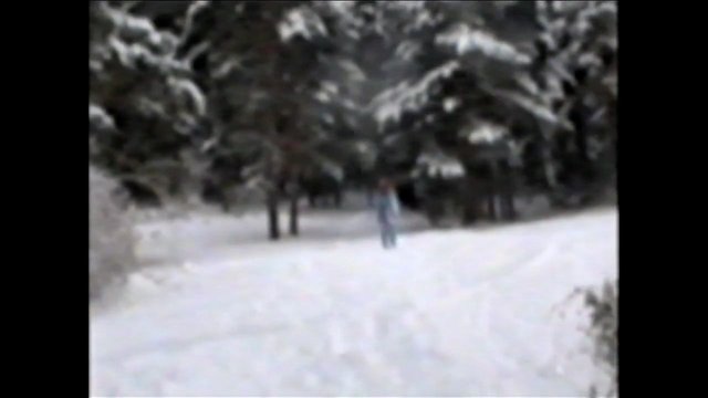 Video Reference: snow, winter, forest, trees, landscape, outdoor, person, distant, nature, cold, snowy path