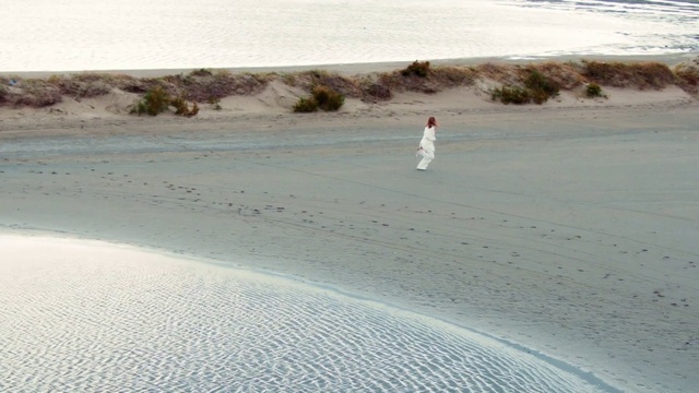 Video Reference: Ecoregion, Plant, Azure, Natural environment, Body of water, Coastal and oceanic landforms, Beach, Landscape, Horizon, Aeolian landform