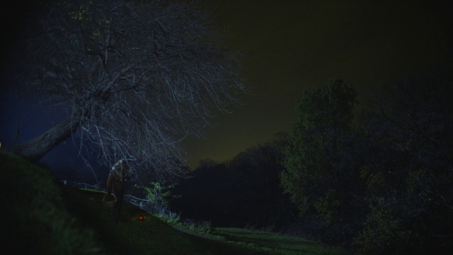 Video Reference: Plant, Automotive lighting, Tree, Natural landscape, Window, Grass, Tints and shades, Sky, Road surface, Landscape