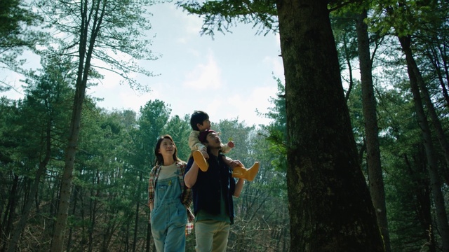 Video Reference: Plant, Sky, People in nature, Tree, Natural landscape, Flash photography, Wood, Gesture, Musical instrument, Happy