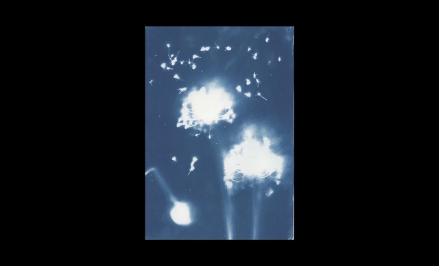 Video Reference: Font, Fireworks, Astronomical object, Lens flare, Electric blue, Rectangle, Event, Space, Midnight, Art