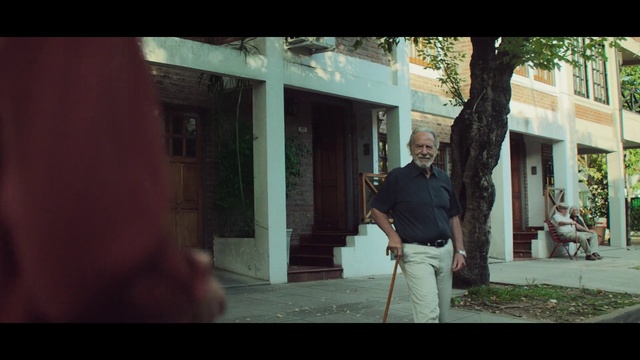 Video Reference: Plant, Flash photography, Standing, Gesture, Tree, Cool, Tints and shades, Eyewear, Sidewalk, Leisure