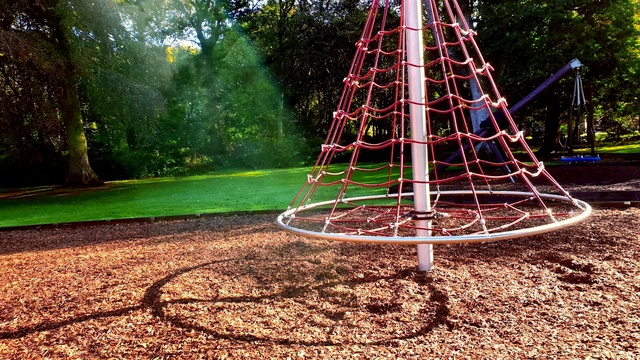 Video Reference: Plant, Leaf, Tree, Grass, Woody plant, Tints and shades, Leisure, Terrestrial plant, Recreation, Pole