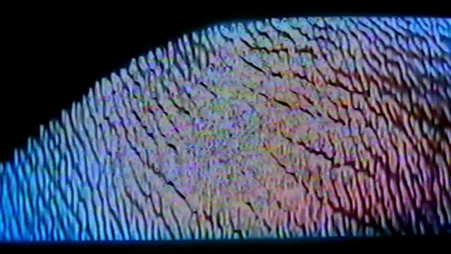 Video Reference: Eye, Human body, Organism, Television set, Electric blue, Symmetry, Font, Glass, Circle, Magenta