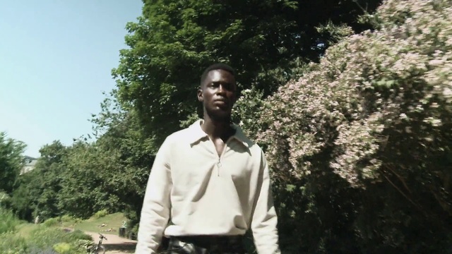 Video Reference: Plant, Dress shirt, People in nature, Sky, Sleeve, Tree, Vegetation, Collar, Flash photography, Grass