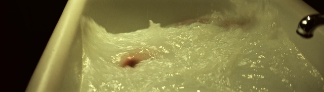Video Reference: Water, Liquid, Ingredient, Cuisine, Snout, Grass, Close-up, Drop, Dish, Moisture