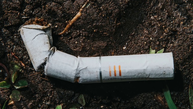 Video Reference: Asphalt, Grass, Road surface, Glove, Gas, Pollution, Wood, Pipe, Soil, Waste