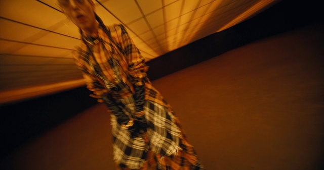 Video Reference: Leaf, Wood, Orange, Plant, Tartan, Twig, Tints and shades, Rope, Art, Pattern