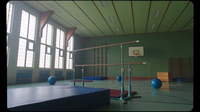 Video Reference: Window, Field house, Building, Sports equipment, Floor, Flooring, Ball, Wood, Hall, Leisure
