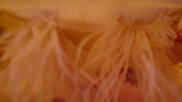 Video Reference: Plant, Ingredient, Food, Peach, Fashion accessory, Fur, Macro photography, Wool, Thread, Fashion design