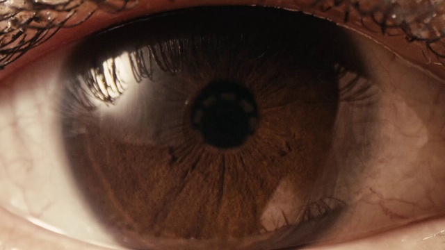 Video Reference: Eyebrow, Eye, Eyelash, Human body, Iris, Musical instrument, Tints and shades, Circle, Wood, Close-up