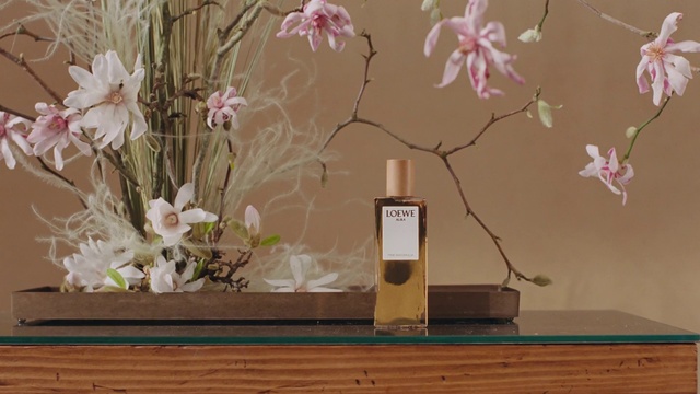 Video Reference: Flower, Brown, Plant, Product, Wood, Twig, Rectangle, Petal, Interior design, Vase