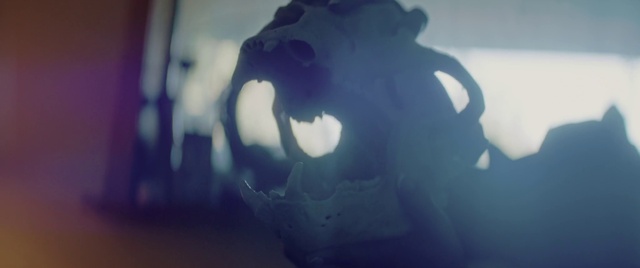 Video Reference: Atmosphere, Jaw, Sky, Gesture, Tree, Aqua, Gas, Tints and shades, Electric blue, Art